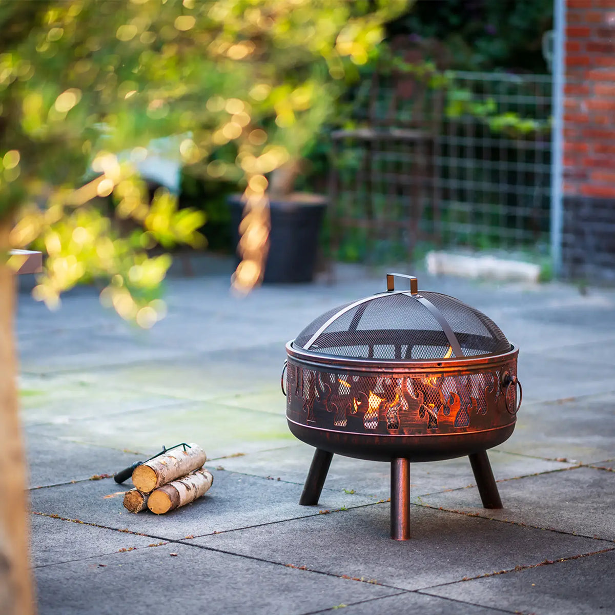 Firepit with Grill and Mesh