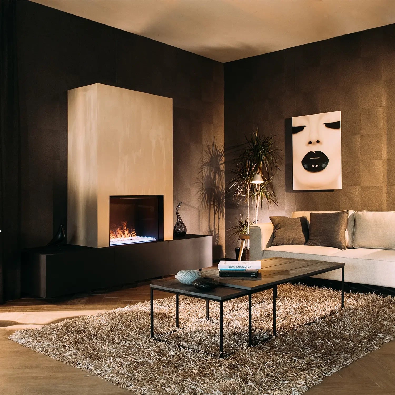 Dimplex e-MatriX 800-500 I Water Vapour Fireplace
